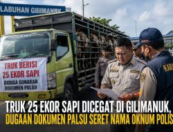 Diduga Pakai Dokumen Palsu, Truk Muat 25 Ekor Sapi Dicegat di Pelabuhan Gilimanuk, Nama Oknum Polisi Terseret