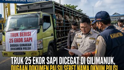 Diduga Pakai Dokumen Palsu, Truk Muat 25 Ekor Sapi Dicegat di Pelabuhan Gilimanuk, Nama Oknum Polisi Terseret